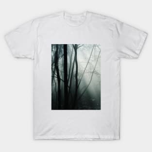 Moody Forest T-Shirt